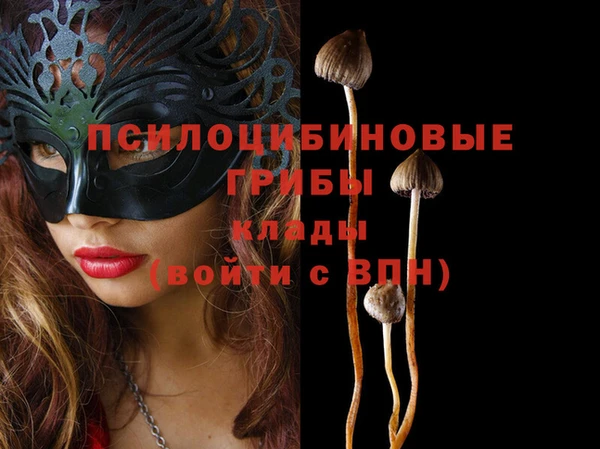 ГАЛЛЮЦИНОГЕННЫЕ ГРИБЫ Красноперекопск
